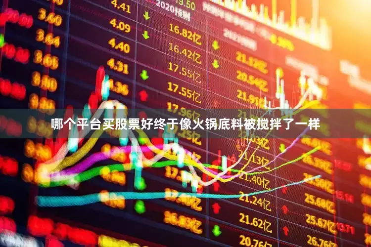 哪个平台买股票好终于像火锅底料被搅拌了一样