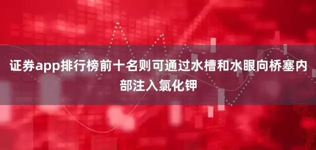 证券app排行榜前十名则可通过水槽和水眼向桥塞内部注入氯化钾