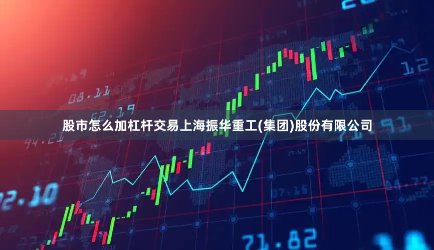 股市怎么加杠杆交易上海振华重工(集团)股份有限公司