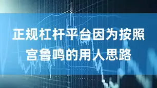 正规杠杆平台因为按照宫鲁鸣的用人思路