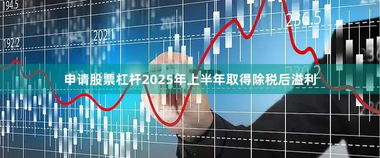 申请股票杠杆2025年上半年取得除税后溢利