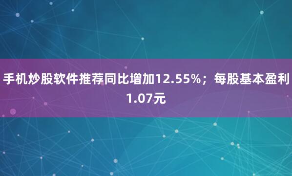 手机炒股软件推荐同比增加12.55%；每股基本盈利1.07元