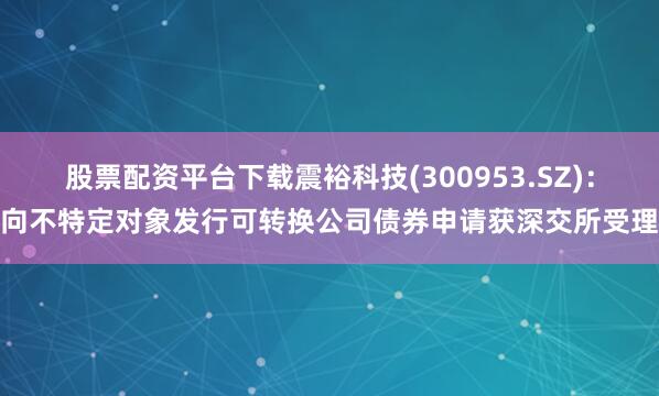 股票配资平台下载震裕科技(300953.SZ)：向不特定对象发行可转换公司债券申请获深交所受理
